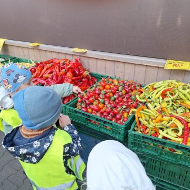 Náš zeleninový týden
