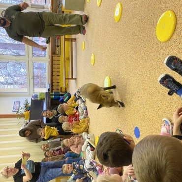 Návštěva lišky Coco