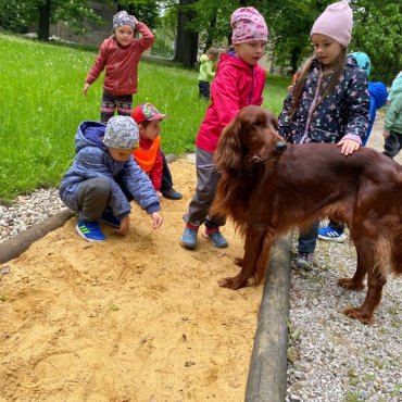 Faunapark