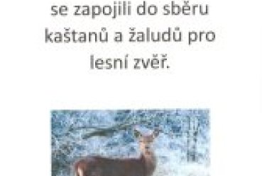 Probíhá sběr kaštanů a žaludu….